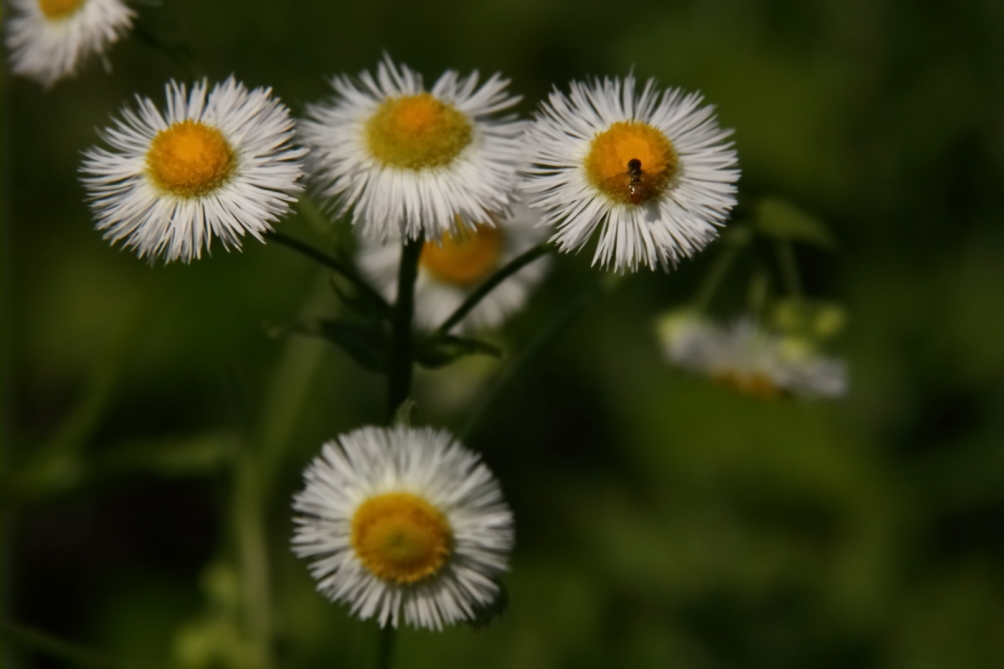 2011 05 27 IMG 32540